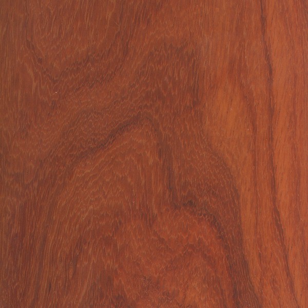 African Padauk